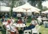 Picnic Day at Mannum